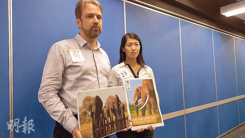世界自然基金會香港分會環境保護總監魏啟宏(左)指出,政府建議用5年淘汰本地象牙貿易是出於政治考慮,認為應加快立法,避免有更多非洲大象遭獵殺。右為世界自然基金會香港分會高級主任(野生動物罪行)勞敏惠。(馬耀森攝) 世界自然基金會香港分會環境保護總監魏啟宏(左)指出,政府建議用5年淘汰本地象牙貿易是出於政治考慮,認為應加快立法,避免有更多非洲大象遭獵殺。右為世界自然基金會香港分會高級主任(野生動物罪行)勞敏惠。(馬耀森攝)