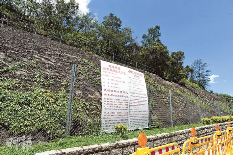 上周五截標的青山公路大欖段官地，由永泰地產以超過9.8億元投得，每方呎樓面地價3343元，比一年前恒地投得的同區管翠路地皮地價低27%。（陳淑安攝）
