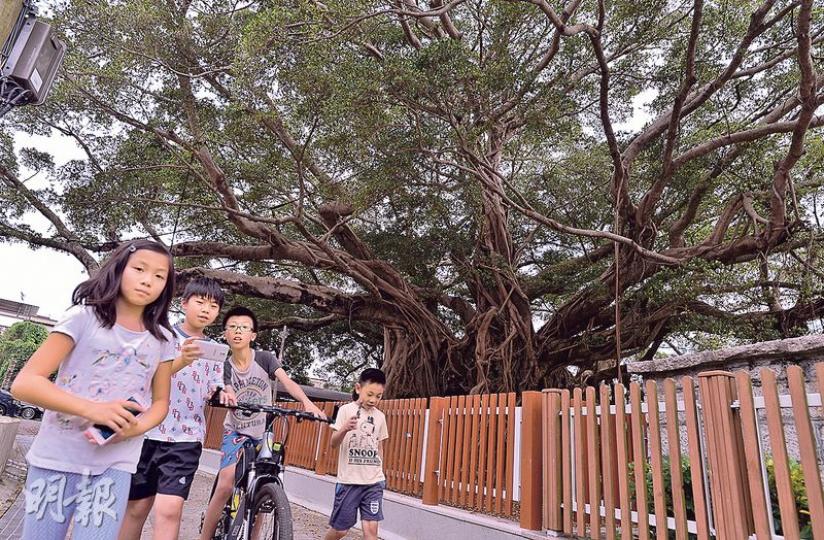 （馮凱鍵攝）