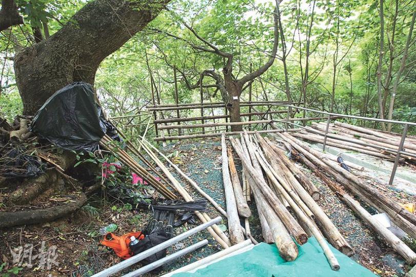 涉事的綠化地帶為政府土地,附近居民於上周發現有工程人員於該地段施工,除了擺放不少建築用具,原有的植被亦遭移除。(李紹昌攝) 涉事的綠化地帶為政府土地,附近居民於上周發現有工程人員於該地段施工,除了擺放不少建築用具,原有的植被亦遭移除。(李紹昌攝)