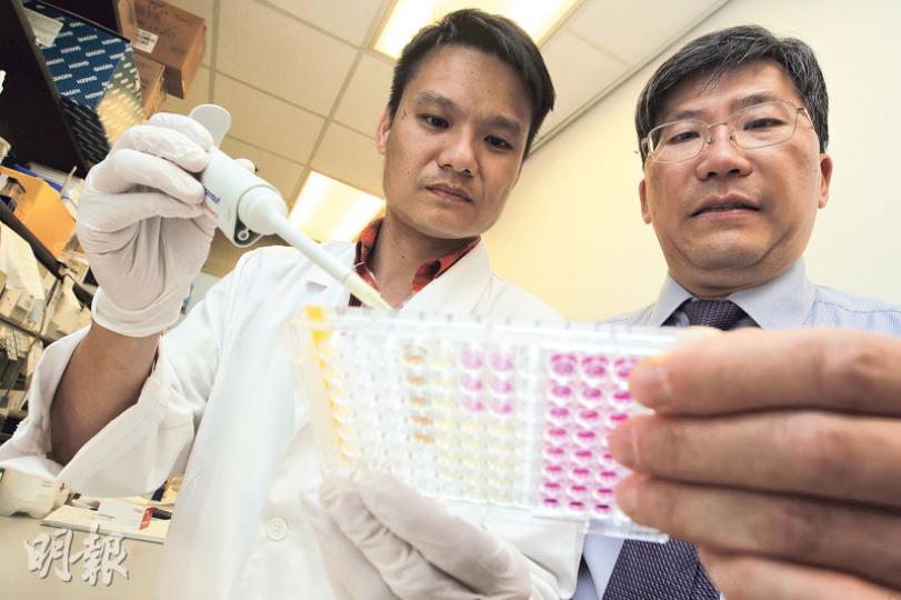 港大醫學院內科學系教授何樹良(右)及港大醫學院內科學系名譽助理教授何永樂(左)研發新技術,以人體細胞快速測試出污染物的整體雌激素效應,發現4個海岸公園及海岸保護區的海水樣本具明顯雌激素效應,跟天然雌激素相近。(郭慶輝攝) 港大醫學院內科學系教授何樹良(右)及港大醫學院內科學系名譽助理教授何永樂(左)研發新技術,以人體細胞快速測試出污染物的整體雌激素效應,發現4個海岸公園及海岸保護區的海水樣本具明顯雌激素效應,跟天然雌激素相近。(郭慶輝攝)