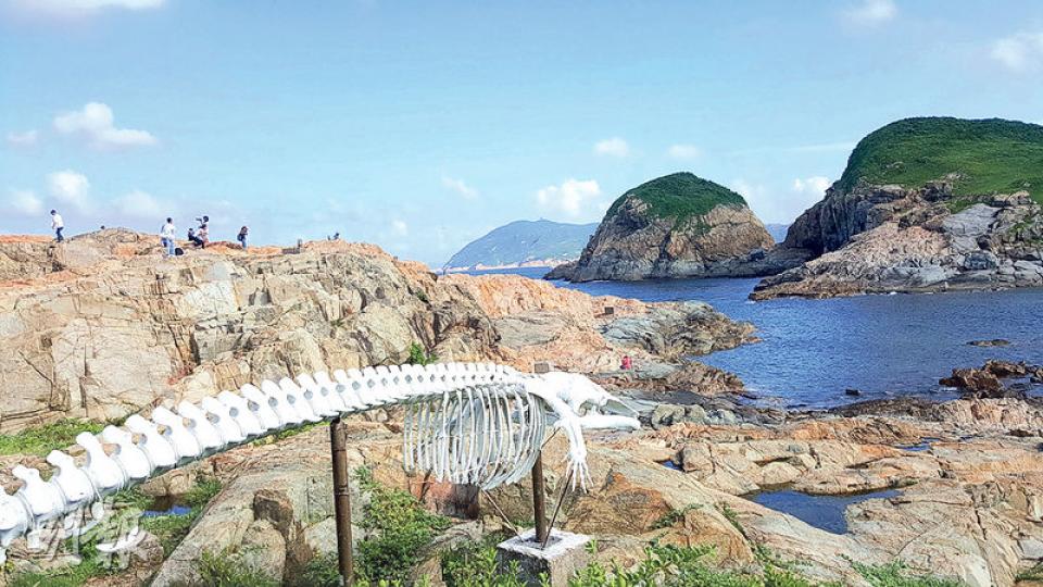 港大於本港其中3個海岸公園及1個海岸保護區驗出多種內分泌干擾素,其中鶴嘴海岸保護區情况最嚴重,區內青口驗出含避孕藥成分,生態風險評估顯示這些雌激素效應會損害當區生態。(阮秀君攝) 港大於本港其中3個海岸公園及1個海岸保護區驗出多種內分泌干擾素,其中鶴嘴海岸保護區情况最嚴重,區內青口驗出含避孕藥成分,生態風險評估顯示這些雌激素效應會損害當區生態。(阮秀君攝)