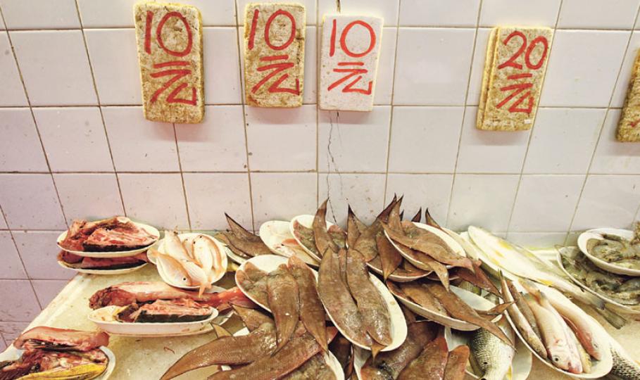 本港多個水域的海水及生物驗出「環境荷爾蒙」,海產中以撻沙魚的三苯基錫(TPT)含量最高,平均含量超出國際風險評估標準,其次為方斑東風螺及花䱛。 (李紹昌攝) 本港多個水域的海水及生物驗出「環境荷爾蒙」,海產中以撻沙魚的三苯基錫(TPT)含量最高,平均含量超出國際風險評估標準,其次為方斑東風螺及花䱛。 (李紹昌攝)