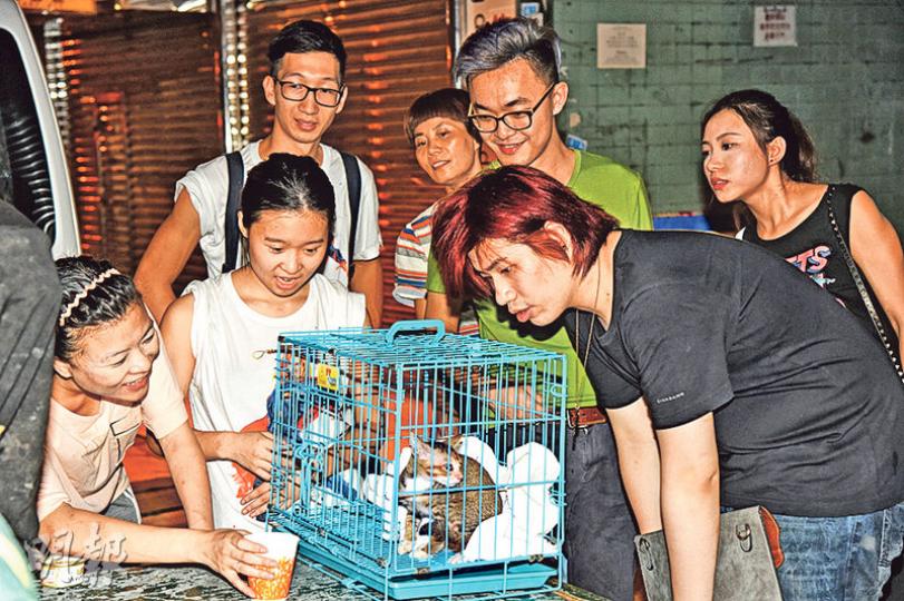 被困車內的4個月大小貓獲救,其主人陳先生(綠衣者)趕到現場領回小貓。(蔡方山攝)王小姐(白衣者)在深水埗玩Pokémon GO時發現私家車內有花貓被困,報警求助。(蔡方山攝) 被困車內的4個月大小貓獲救,其主人陳先生(綠衣者)趕到現場領回小貓。(蔡方山攝)王小姐(白衣者)在深水埗玩Pokémon GO時發現私家車內有花貓被困,報警求助。(蔡方山攝)