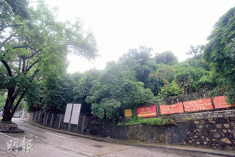 屯門青霞里住宅地由賭王四太梁安琪旗下尚嘉控股投得,每方呎樓面地價6800元,較市場預期高出七成。(劉焌陶攝) 屯門青霞里住宅地由賭王四太梁安琪旗下尚嘉控股投得,每方呎樓面地價6800元,較市場預期高出七成。(劉焌陶攝)
