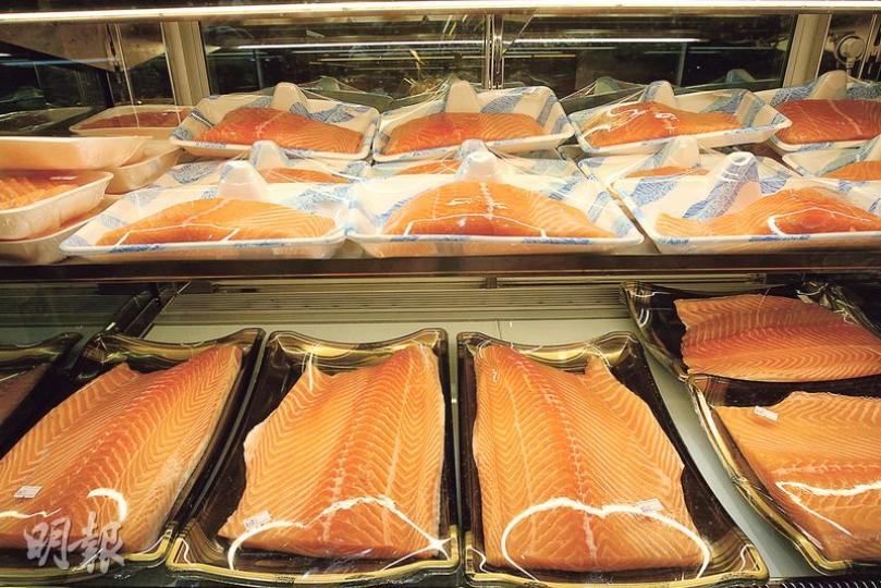 本港的食用三文魚最主要產地為挪威,有傳染病專家指當地生產養殖三文魚,過往未有寄生蟲案例,提醒食客應選擇挪威的養殖三文魚。(李紹昌攝) 本港的食用三文魚最主要產地為挪威,有傳染病專家指當地生產養殖三文魚,過往未有寄生蟲案例,提醒食客應選擇挪威的養殖三文魚。(李紹昌攝)