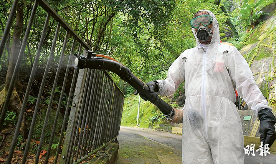 中區一個月內出現3宗本地登革熱確診個案,病毒同屬第三型。食環署人員昨日於半山干德道與香雪道交界滅蚊。(鄧宗弘攝) 中區一個月內出現3宗本地登革熱確診個案,病毒同屬第三型。食環署人員昨日於半山干德道與香雪道交界滅蚊。(鄧宗弘攝)