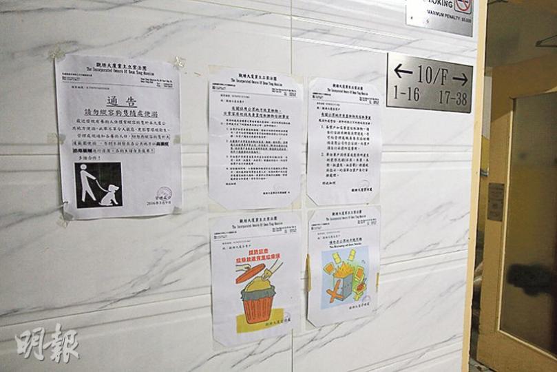 涉案樓層的走廊貼有告示（圖左），要求住客不要縱容其狗於大廈範圍便溺，否則不排除在公共地方「以高濃度消毒藥劑進行清潔」。（伍浦鋒攝）記者昨到觀塘大廈，涉案單位沒有人應門，只傳出狗吠聲，而鐵閘和大門之間放有香薰。該層的走廊（圖）則有一陣不太濃烈的尿味，以及頗強烈的消毒藥水氣味。（伍浦鋒攝）