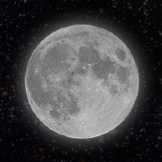 c0e60e29a54fa981ea8ef0d6e963d8d2