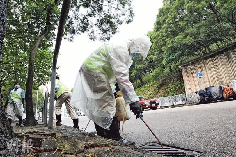 有別於早前3宗登革熱個案屬血清型3型,居於黃大仙天馬苑的登革熱患者屬血清型1型,食環署昨派員到天馬苑附近滅蚊。(李紹昌攝) 有別於早前3宗登革熱個案屬血清型3型,居於黃大仙天馬苑的登革熱患者屬血清型1型,食環署昨派員到天馬苑附近滅蚊。(李紹昌攝)