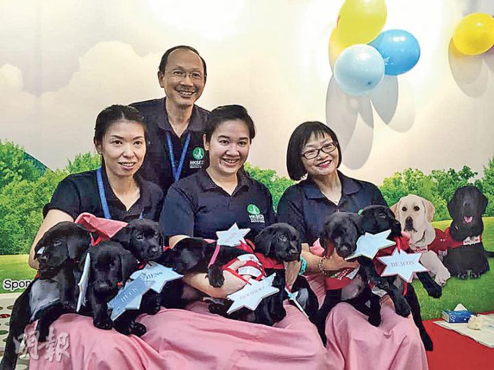 香港導盲犬服務中心再以人工授孕迎來8隻導盲犬,中心主席張偉民(後)話現時只有3隻BB有合適家庭寄養,呼籲有心家庭盡快報名,幫助導盲幼犬融入社會生活。(李詠珊攝) 香港導盲犬服務中心再以人工授孕迎來8隻導盲犬,中心主席張偉民(後)話現時只有3隻BB有合適家庭寄養,呼籲有心家庭盡快報名,幫助導盲幼犬融入社會生活。(李詠珊攝)
