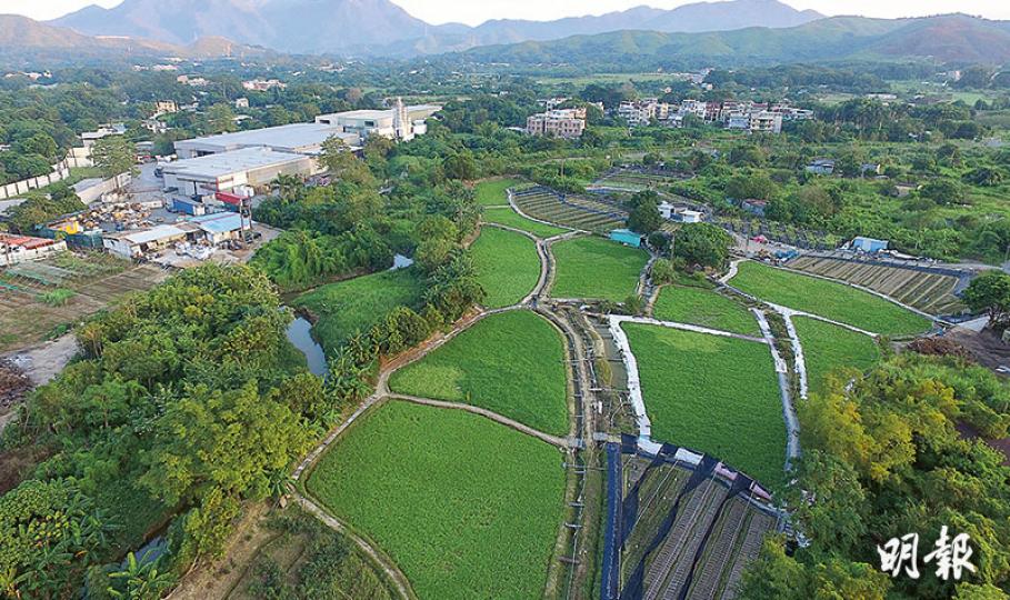 政府表示，坪輋區內的荒廢農地及棕地可供應新的土地，而常耕及優質農地則可加以保育及復耕，或與新的發展全面融合，將來可能成為未來新界北的特點。圖為坪輋大埔田村一帶，圖左上方為露天儲物場及倉庫，右方及下方為大片農地。（蘇智鑫攝）