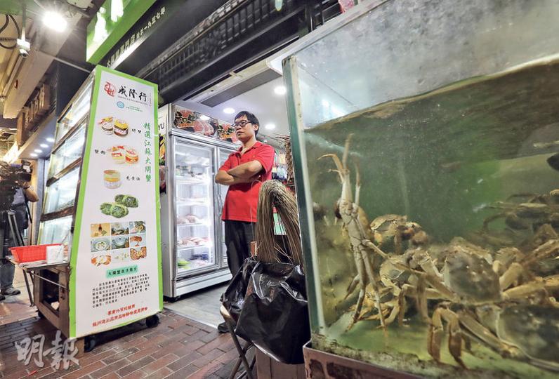 上環成隆行的大閘蟹被驗出二噁英含量超標5.6倍,食安中心懷疑該店曾將蟹調包,惟店方否認。該店昨日仍有售大閘蟹,店前水缸亦養有沒綁的大閘蟹,負責人稱全部來自湖北仙桃,而非早前出事的江蘇太湖。(李紹昌攝) 上環成隆行的大閘蟹被驗出二噁英含量超標5.6倍,食安中心懷疑該店曾將蟹調包,惟店方否認。該店昨日仍有售大閘蟹,店前水缸亦養有沒綁的大閘蟹,負責人稱全部來自湖北仙桃,而非早前出事的江蘇太湖。(李紹昌攝)