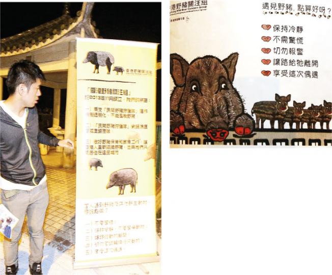 西貢野豬狩獵隊原定昨到壁屋村一帶殺野豬,因有組織發動到村內守護野豬,漁護署基於安全理由停止狩獵;事後香港野豬關注組幹事黃豪賢(左圖)與成員到村內張貼告示(右圖)及設易拉架,教村民「人豬共融」。(伍浦鋒攝)壁屋村口告示板貼有西貢民政事務處告示,指接獲漁護署通知,昨晚6時半至10時西貢野豬狩獵隊會到村內狩獵。(伍浦鋒攝) 西貢野豬狩獵隊原定昨到壁屋村一帶殺野豬,因有組織發動到村內守護野豬,漁護署基於安全理由停止狩獵;事後香港野豬關注組幹事黃豪賢(左圖)與成員到村內張貼告示(右圖)及設易拉架,教村民「人豬共融」。(伍浦鋒攝)壁屋村口告示板貼有西貢民政事務處告示,指接獲漁護署通知,昨晚6時半至10時西貢野豬狩獵隊會到村內狩獵。(伍浦鋒攝)