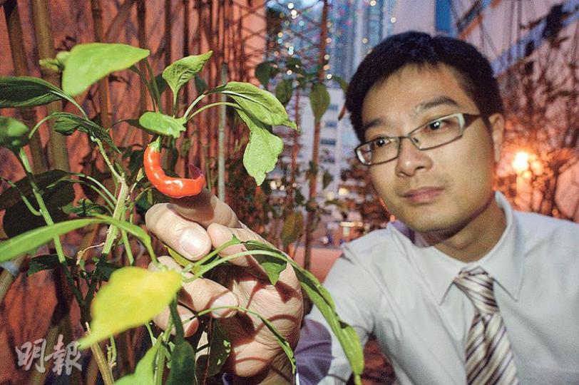 中華基金中學利用曾上太空的種子種植辣椒,學生要監察及分析其成長情况。該校助理校長何廸信(圖),是校內其中一名STREAM教育統籌,STREAM比STEM多出的R代表Reading and Writing(讀寫),A則代表Art(藝術),校方期望將各科融會。(鍾林枝攝)中華基金會中學設有地理及氣候變化資源室,內有從各國蒐羅的石頭和化石,包括圖中的恐龍蛋化石,學生可藉以認識石頭的化學成分、化石出土地和進化論等知識。(鍾林枝攝) 中華基金中學利用曾上太空的種子種植辣椒,學生要監察及分析其成長情况。該校助理校長何廸信(圖),是校內其中一名STREAM教育統籌,STREAM比STEM多出的R代表Reading and Writing(讀寫),A則代表Art(藝術),校方期望將各科融會。(鍾林枝攝)中華基金會中學設有地理及氣候變化資源室,內有從各國蒐羅的石頭和化石,包括圖中的恐龍蛋化石,學生可藉以認識石頭的化學成分、化石出土地和進化論等知識。(鍾林枝攝)