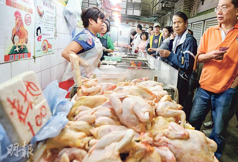 冬大過年,雖然有人在內地買雞後感染H7N9禽流感,但不少人昨日仍趁冬至買活雞做節,雞檔忙個不停。(李紹昌攝) 冬大過年,雖然有人在內地買雞後感染H7N9禽流感,但不少人昨日仍趁冬至買活雞做節,雞檔忙個不停。(李紹昌攝)