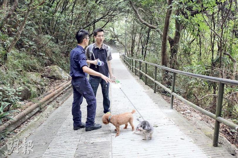 愛護動物協會人員在灣仔峽道行山徑，向拖狗市民講述發現懷疑毒餌。（伍浦鋒攝）愛護動物協會人員於灣仔峽道檢獲的肉碎內有紅色顆粒，不排除有人將老鼠藥混入雞肉作毒餌。（伍浦鋒攝）