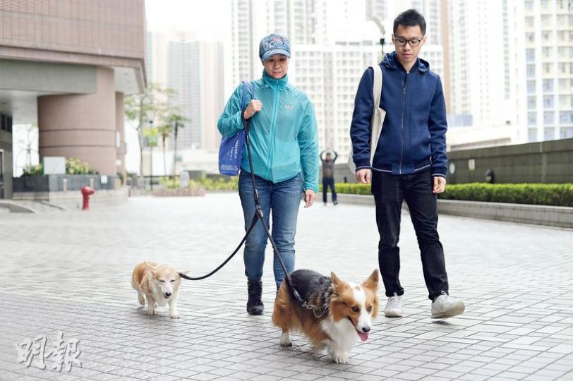 Senior CID創辦人之一彭浩然（右）希望藉培訓退休人士成為寵物褓母，開解退休人士心靈。圖左的Leona本為教師，退休後成為該公司首批褓母。（鍾林枝攝）