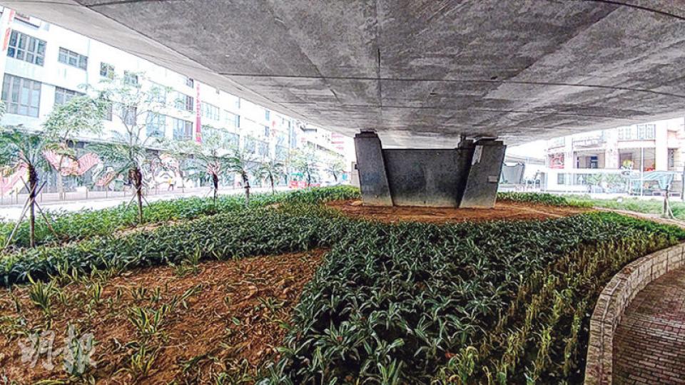 袁海文申請在昇悅居對出的西九龍走廊橋底(圖中橋躉旁),短租約50平方米官地,擬放貨櫃作辦事處,至今未獲民政事務總署「開綠燈」。目前該處旁邊為康文署園圃。(黃俊鋒攝)民主黨深水埗區議員袁海文(圖)當選至今一年多仍未有固定辦事處,只能在選區內不同地點設街站接觸居民,每周約兩次,至今估計已擺街站200小時。(黃俊鋒攝) 袁海文申請在昇悅居對出的西九龍走廊橋底(圖中橋躉旁),短租約50平方米官地,擬放貨櫃作辦事處,至今未獲民政事務總署「開綠燈」。目前該處旁邊為康文署園圃。(黃俊鋒攝)民主黨深水埗區議員袁海文(圖)當選至今一年多仍未有固定辦事處,只能在選區內不同地點設街站接觸居民,每周約兩次,至今估計已擺街站200小時。(黃俊鋒攝)