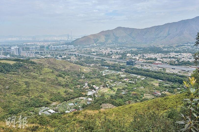 政府認為大欖郊野公園東北約170公頃郊野公園土地值得考慮建屋,漁護署前助理署長王福義指出,公園外圍被大片自然保育地帶土地包圍(圖中山下土地),政府應先研究這些土地,下一步才到郊野公園,不應輕言將郊野公園土地剔出發展。(鄧宗弘攝)長春社表示,大欖隧道收費站以西一幅土地原是淡水濕地,擁有高度生態價值,惟2008年被人倒泥及砍樹,以致生態價值大幅下降。現時該處部分土地圍起鐵絲網,記者上周三到該處觀察,發現有人帶數頭羊到附近草地放牧。(鄧宗弘攝) 政府認為大欖郊野公園東北約170公頃郊野公園土地值得考慮建屋,漁護署前助理署長王福義指出,公園外圍被大片自然保育地帶土地包圍(圖中山下土地),政府應先研究這些土地,下一步才到郊野公園,不應輕言將郊野公園土地剔出發展。(鄧宗弘攝)長春社表示,大欖隧道收費站以西一幅土地原是淡水濕地,擁有高度生態價值,惟2008年被人倒泥及砍樹,以致生態價值大幅下降。現時該處部分土地圍起鐵絲網,記者上周三到該處觀察,發現有人帶數頭羊到附近草地放牧。(鄧宗弘攝)