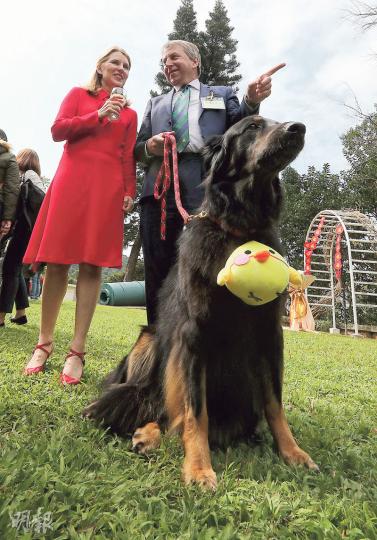 香港大學校長馬斐森昨出席港大傳媒新春團拜,他是愛犬之人,昨向記者介紹其愛犬是罕見的德國品種,將會帶牠返蘇格蘭。左為其妻。(李紹昌攝) 香港大學校長馬斐森昨出席港大傳媒新春團拜,他是愛犬之人,昨向記者介紹其愛犬是罕見的德國品種,將會帶牠返蘇格蘭。左為其妻。(李紹昌攝)