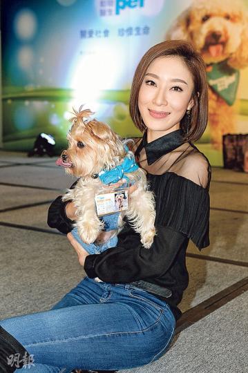 楊怡視愛犬如同己出。(攝影:黃梓烜) 楊怡視愛犬如同己出。(攝影:黃梓烜)