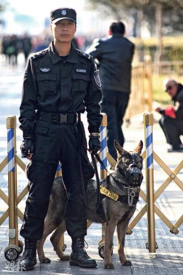 在天安門城樓前的人行道上,有特勤人員牽警犬巡邏,警犬全都戴上口罩。(明報記者攝)天安門城樓掛出告示,今日起至兩會結束後的16日禁止登樓。圖為城樓上的安保人員。(明報記者攝) 在天安門城樓前的人行道上,有特勤人員牽警犬巡邏,警犬全都戴上口罩。(明報記者攝)天安門城樓掛出告示,今日起至兩會結束後的16日禁止登樓。圖為城樓上的安保人員。(明報記者攝)
