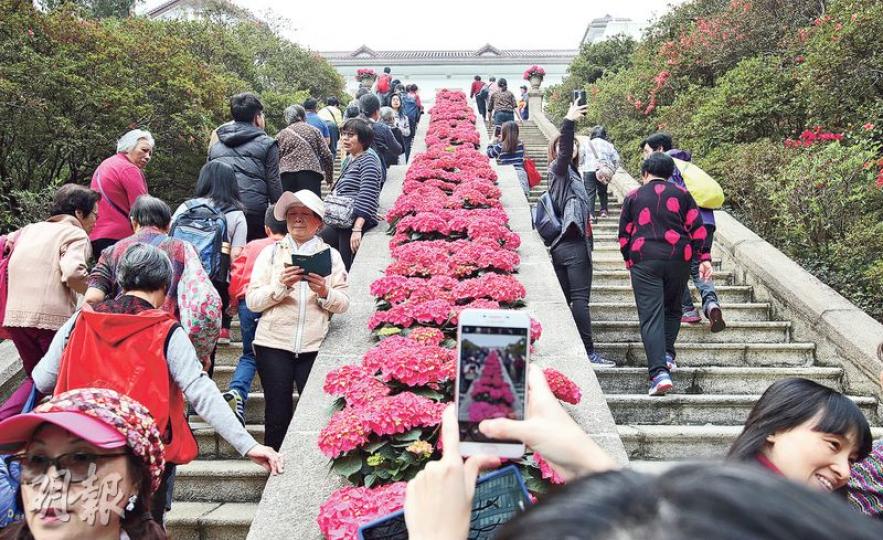 噚日係禮賓府開放日,吸引唔少市民參觀,其中影花係指定動作。(曾憲宗攝)呢位婆婆帶埋比卡超等公仔,同各種特色花卉「合照」,吸引到其他市民同佢自拍。婆婆仲特登曬埋上次參觀影低香港警察樂隊嘅相,希望搵番相中人。(曾憲宗攝) 噚日係禮賓府開放日,吸引唔少市民參觀,其中影花係指定動作。(曾憲宗攝)呢位婆婆帶埋比卡超等公仔,同各種特色花卉「合照」,吸引到其他市民同佢自拍。婆婆仲特登曬埋上次參觀影低香港警察樂隊嘅相,希望搵番相中人。(曾憲宗攝)