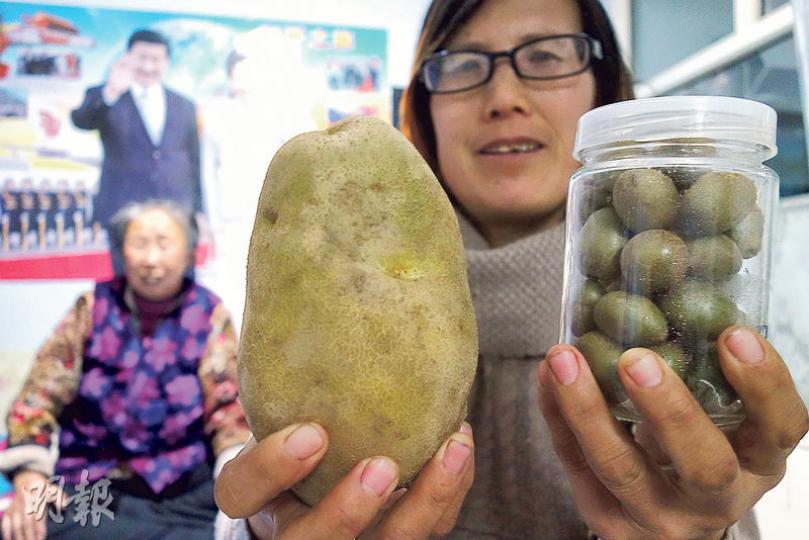 村裏準備為扶貧困戶建大棚搞馬鈴薯育種,這種種子一顆就值0.5元,比種普通薯仔收益好很多。裴秀萍手舉着普通薯仔(左)和薯種(右),說明二者的不同。(明報記者攝)在德勝村測試的500千瓦光伏板,一天發電2000度,以目前平均1度電1.08元價格計算,一年可給村內收取80萬的電費收入。(明報記者攝)附近村民家的院落用石頭堆砌,部分外牆日久失修甚至垮塌。(明報記者攝) 村裏準備為扶貧困戶建大棚搞馬鈴薯育種,這種種子一顆就值0.5元,比種普通薯仔收益好很多。裴秀萍手舉着普通薯仔(左)和薯種(右),說明二者的不同。(明報記者攝)在德勝村測試的500千瓦光伏板,一天發電2000度,以目前平均1度電1.08元價格計算,一年可給村內收取80萬的電費收入。(明報記者攝)附近村民家的院落用石頭堆砌,部分外牆日久失修甚至垮塌。(明報記者攝)