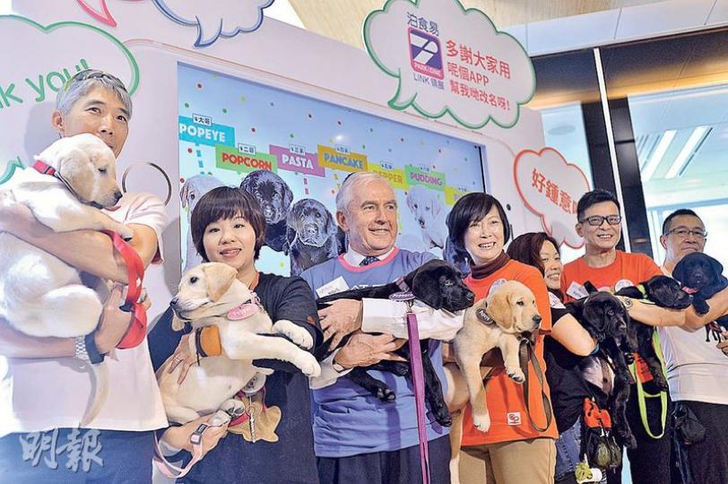 領展噚日為首批本土出生嘅7隻導盲犬狗仔舉辦命名儀式,7隻狗仔全部都係「P」牌仔,個名由「P」字開頭,分別叫Popeye、Popcorn、Pasta、Pancake、Pepper、Pudding和Pizza。(馮凱鍵攝) 領展噚日為首批本土出生嘅7隻導盲犬狗仔舉辦命名儀式,7隻狗仔全部都係「P」牌仔,個名由「P」字開頭,分別叫Popeye、Popcorn、Pasta、Pancake、Pepper、Pudding和Pizza。(馮凱鍵攝)