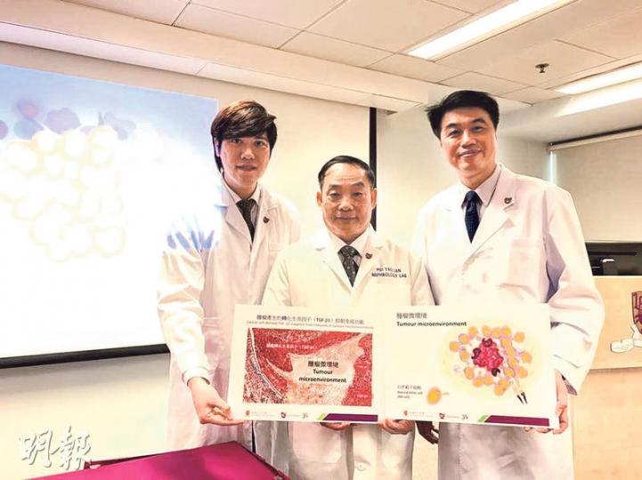 中大醫學院發現治療癌症新方向,靠抑制癌細胞中的蛋白、強化身體免疫系統,從而破壞癌細胞的生長環境,將其「連根拔起」。圖左起為中大醫學院病理解剖及細胞學系研究員鄧銘權,中大卓敏生物醫學講座教授、醫學院助理院長(研究)藍輝耀,以及中大醫學院病理解剖及細胞學系主任杜家輝。(植敏欣攝) 中大醫學院發現治療癌症新方向,靠抑制癌細胞中的蛋白、強化身體免疫系統,從而破壞癌細胞的生長環境,將其「連根拔起」。圖左起為中大醫學院病理解剖及細胞學系研究員鄧銘權,中大卓敏生物醫學講座教授、醫學院助理院長(研究)藍輝耀,以及中大醫學院病理解剖及細胞學系主任杜家輝。(植敏欣攝)