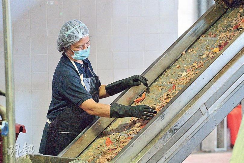 華南再生資源(中山)有限公司在屯門環保園設置廚餘廠,該廠過去一年的廚餘處理量一直未能達到與政府簽訂的租約規定,被環保署3次警告。廠方解釋處理量不達標與回收技術無關,已與當局商討,計劃提高屋苑回收量。(楊柏賢攝) 華南再生資源(中山)有限公司在屯門環保園設置廚餘廠,該廠過去一年的廚餘處理量一直未能達到與政府簽訂的租約規定,被環保署3次警告。廠方解釋處理量不達標與回收技術無關,已與當局商討,計劃提高屋苑回收量。(楊柏賢攝)