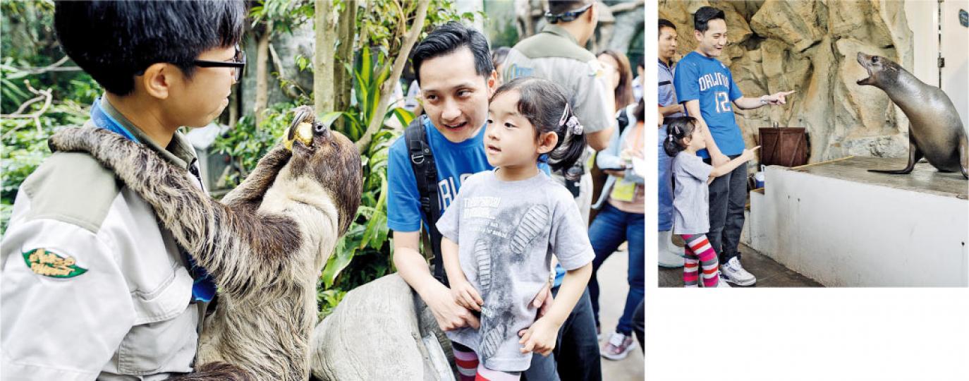 海洋公園「親親動物月」推出「約會海獅」，入場市民額外付錢就可參加（上圖）。另外園內亦將安排樹懶小樹（左圖）與市民近距離接觸。（鍾林枝攝）
