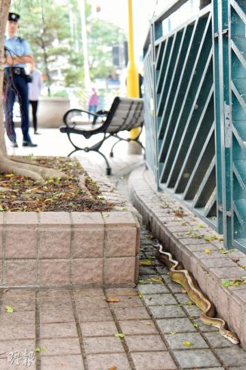 (蔡方山攝) (蔡方山攝)