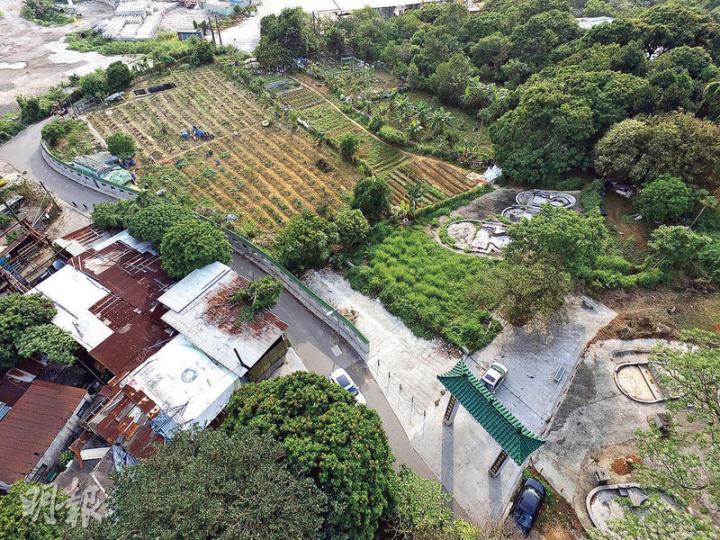 逾3萬平方呎的政府土地現租予「陶嘉儀祖」,耕地邊界有一綠瓦矮牆包圍,儼如耕地外牆;而矮牆與桃花源牌樓(圖右下)如同屏障,「保護」毗鄰的陶氏先祖墓穴。(鍾林枝攝) 逾3萬平方呎的政府土地現租予「陶嘉儀祖」,耕地邊界有一綠瓦矮牆包圍,儼如耕地外牆;而矮牆與桃花源牌樓(圖右下)如同屏障,「保護」毗鄰的陶氏先祖墓穴。(鍾林枝攝)