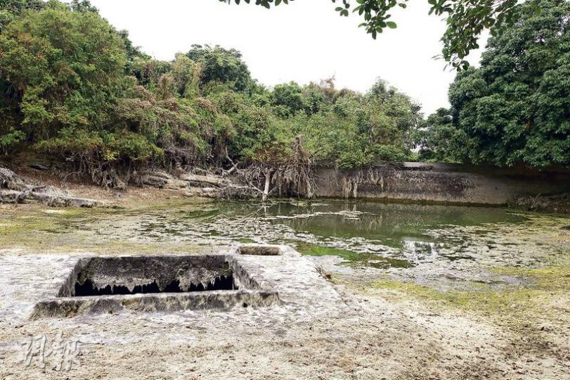 東平洲內有水塘已荒廢逾30年,佈滿水藻及沉積物,水質不宜食用。居民均靠井水應付日常所需,每逢旱季,便需待水務署出動水船派水,然而每次供水量有限,對居民造成不便。(曾憲宗攝)奶頭村原居民李小姐每逢假日均會到東平洲打理祖屋,清除庭園內的雜草。然而由於該村被納入地質公園範圍,即使祖屋失修破落,村民亦無法復修。李小姐慨嘆東平洲獨有的頁岩屋文化將失傳。(曾憲宗攝) 東平洲內有水塘已荒廢逾30年,佈滿水藻及沉積物,水質不宜食用。居民均靠井水應付日常所需,每逢旱季,便需待水務署出動水船派水,然而每次供水量有限,對居民造成不便。(曾憲宗攝)奶頭村原居民李小姐每逢假日均會到東平洲打理祖屋,清除庭園內的雜草。然而由於該村被納入地質公園範圍,即使祖屋失修破落,村民亦無法復修。李小姐慨嘆東平洲獨有的頁岩屋文化將失傳。(曾憲宗攝)