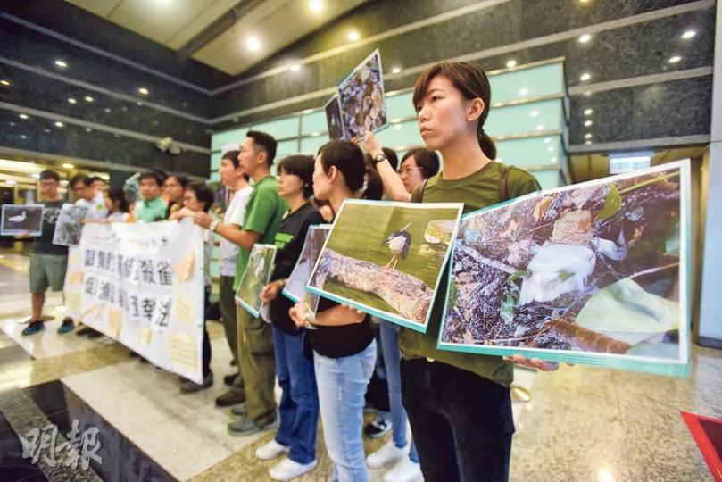 早前大埔鷺鳥林修樹令最少16隻鷺鳥死亡,有團體質疑康文署違反《野生動物條例》, 促請漁護署調查及執法。(黃志東攝) 早前大埔鷺鳥林修樹令最少16隻鷺鳥死亡,有團體質疑康文署違反《野生動物條例》, 促請漁護署調查及執法。(黃志東攝)