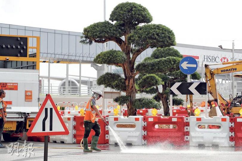 進口松樹取代 機場1號閘附近近日大興土木進行園藝改善工程,種植進口松樹,取代原有樹木。(曾憲宗攝) 進口松樹取代 機場1號閘附近近日大興土木進行園藝改善工程,種植進口松樹,取代原有樹木。(曾憲宗攝)