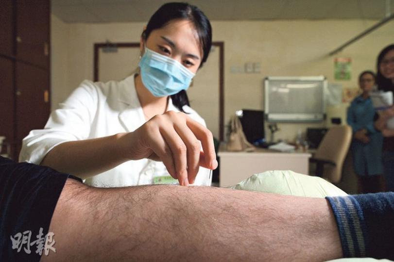 浸大中醫藥學院研究指出,為體重指標BMI超過25人士針灸,可助控制體重,包括在腹部的穴位如可通便的「大橫」、健脾胃的「天樞」等。至於腳部的穴位,則包括「豐隆」,可健脾化痰,其他腳的穴位包括「足三里」、「三陰交」等。每次針灸時間約為20分鐘。(鍾林枝攝)註冊中醫師會將附有「王不留行籽」的膠布貼在耳穴,例如是可抑制食慾的飢點(1)、調節脾胃功能,以助消化的脾(2)及神門(3),神門是負責處理情緒的穴位。該膠布一般約3天後會自然脫落。(鍾林枝攝) 浸大中醫藥學院研究指出,為體重指標BMI超過25人士針灸,可助控制體重,包括在腹部的穴位如可通便的「大橫」、健脾胃的「天樞」等。至於腳部的穴位,則包括「豐隆」,可健脾化痰,其他腳的穴位包括「足三里」、「三陰交」等。每次針灸時間約為20分鐘。(鍾林枝攝)註冊中醫師會將附有「王不留行籽」的膠布貼在耳穴,例如是可抑制食慾的飢點(1)、調節脾胃功能,以助消化的脾(2)及神門(3),神門是負責處理情緒的穴位。該膠布一般約3天後會自然脫落。(鍾林枝攝)