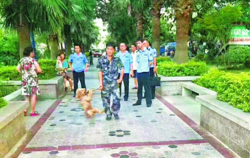 ■為免影響市容,廈門城管人員等到處抓狗。
■為免影響市容,廈門城管人員等到處抓狗。