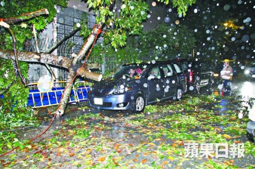 ■昨三號風球懸掛期間,多區均下大雨。
■昨三號風球懸掛期間,多區均下大雨。