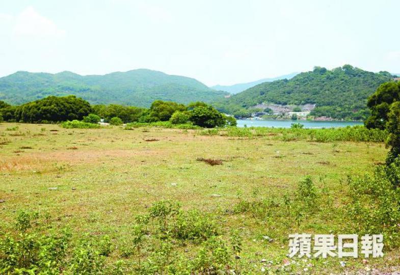 ■創興水上活動中心的草被指太短，令牛隻無法找到足夠食物。馬泉崇攝

