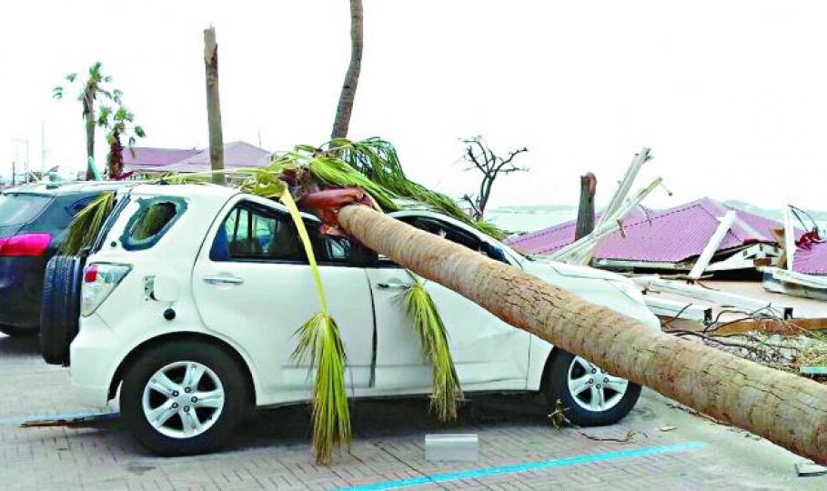 【聖馬丁島】■颶風吹襲後有汽車遭倒下的棕櫚樹壓毀。　美聯社