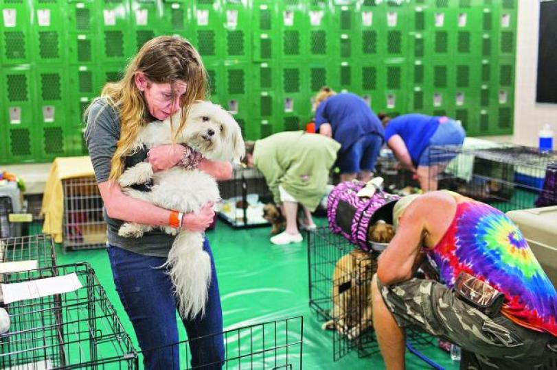 ■聖彼得斯堡居民在學校避風，跟愛犬暫時道別。