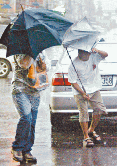 ■同名颱風「泰利」2005年登陸宜花時帶來狂風暴雨。