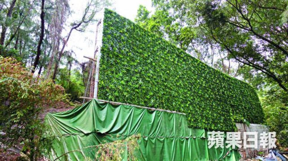 ■獨立屋周圍設置了鋪上仿草物料的圍網，外人難看到內裏進行的工程。■在官地上非法興建的建築物外至少有兩部冷氣機。