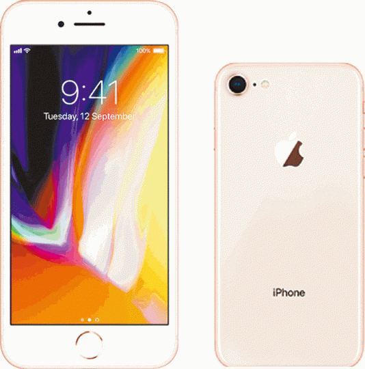 ■iPhone8推出三款顏色，圖為金色版本。■官網顯示iPhone8 Plus出貨期為3至4星期。
