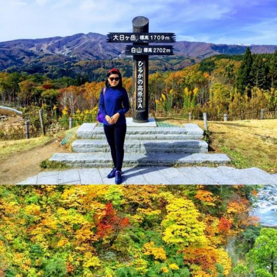 ■公路旁的休息站位於白山之上，是一個很好的景點。作者提供圖片