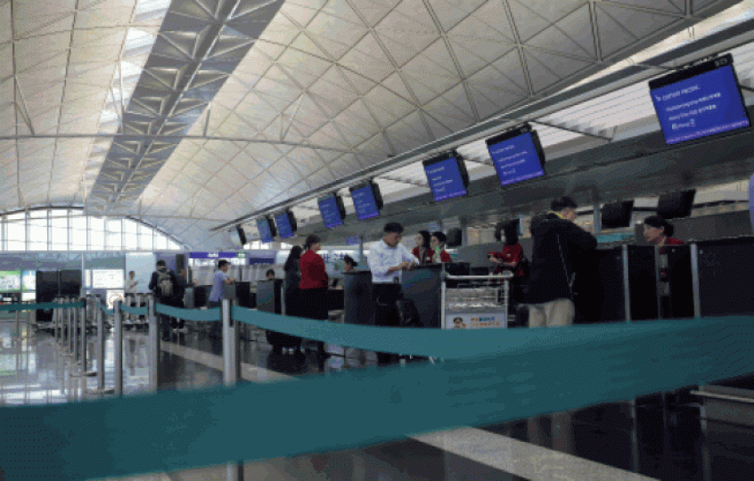 ■國泰航空網頁顯示鬥牛犬、鬆獅犬、波斯貓及蘇格蘭摺耳貓等均不能攜帶登機。資料圖片