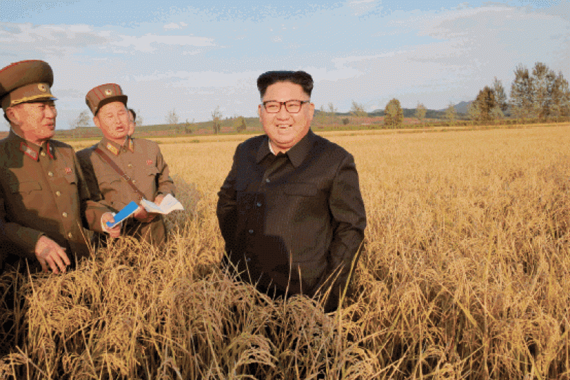 ■南韓憂慮金正恩（圖）會於勞動黨黨慶、或中國共產黨19第十九次全國代表大會開幕日有所動作。